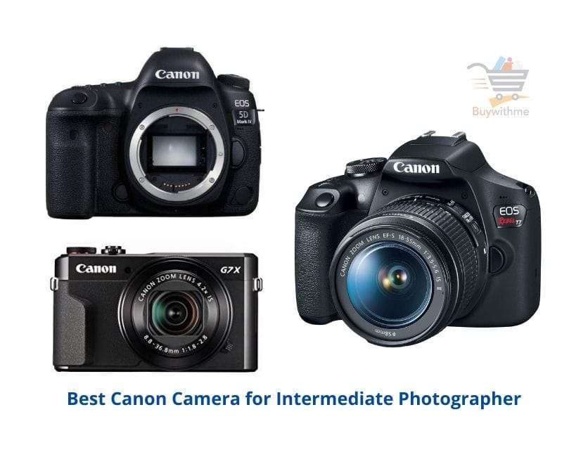 Best Canon Camera for Intermediate Photographer
