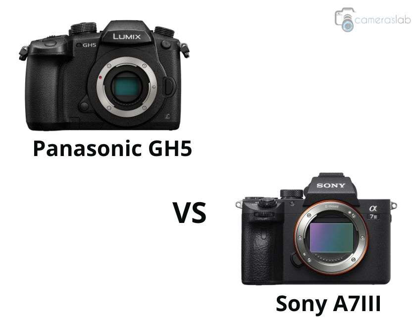 Panasonic GH5 vs Sony A7III