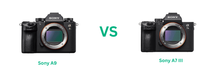 Sony A9 vs A7 III
